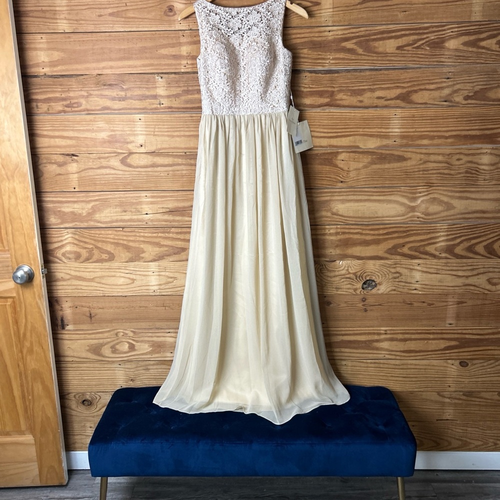 Lan Ting Lace and Chiffon Dress